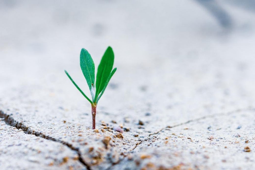 Growth Mindset